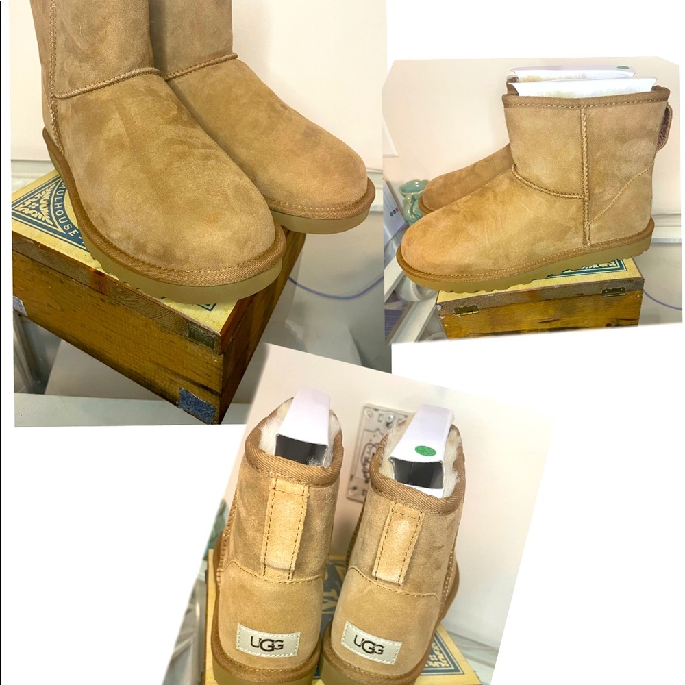 Ugg classic short